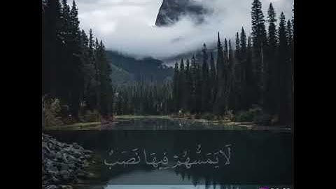 ( إِنَّ الْمُتَّقِينَ فِي جَنَّاتٍ وَعُيُونٍ ) [ سورة الحجر -45]