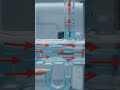To observe the decrease in pressure with increase in velocity of a fluid. #bernoullisprinciple #phy