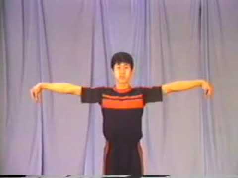 Wushu tecniche fondamentali Parte 1 - Basic wuhsu techniques  performed by beijing wushu team part 1