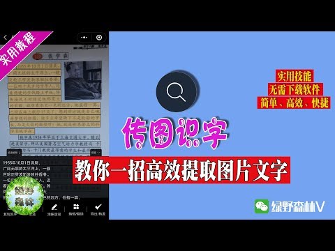 【实用教程】教你一招高效提取图片或书本上的文字内容！无需下载软件！