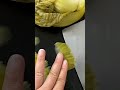 fresh lettuce recipe 🥬 | delicious cooking process