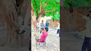 1 😍#kabootar #training 🥰#video #dosti #kabootar #video #training ❤️#kabootar ❤️