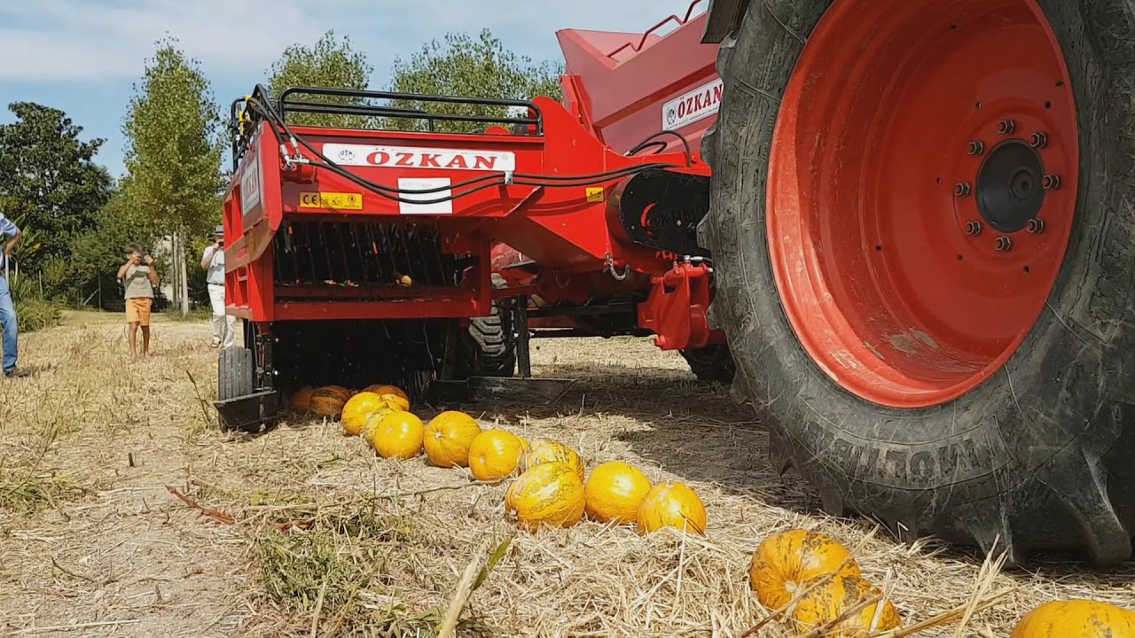 Kombajn za buče OKHM-B2