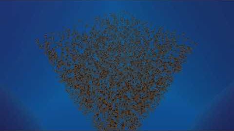 Boid Clustering Simulation in Unity