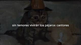 ~los gatitos lucirán muy lindos vestiditos ~