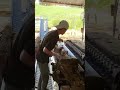 Wood Core Veneer Peeling Machine
