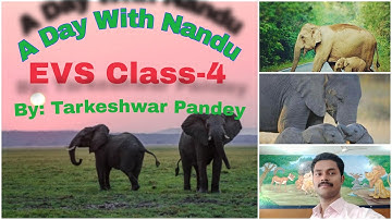 A day with Nandu EVS Class-4 (Part-1) By: Tarkeshwar Pandey |NCERT| Looking Around|