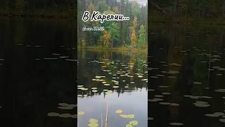 В Карелии...