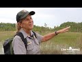 Take a walking tour of the Big Cypress National Preserve in South Florida