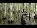 Take a walking tour of the Big Cypress National Preserve in South Florida