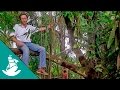 El Futuro del Amazonas (documental completo)