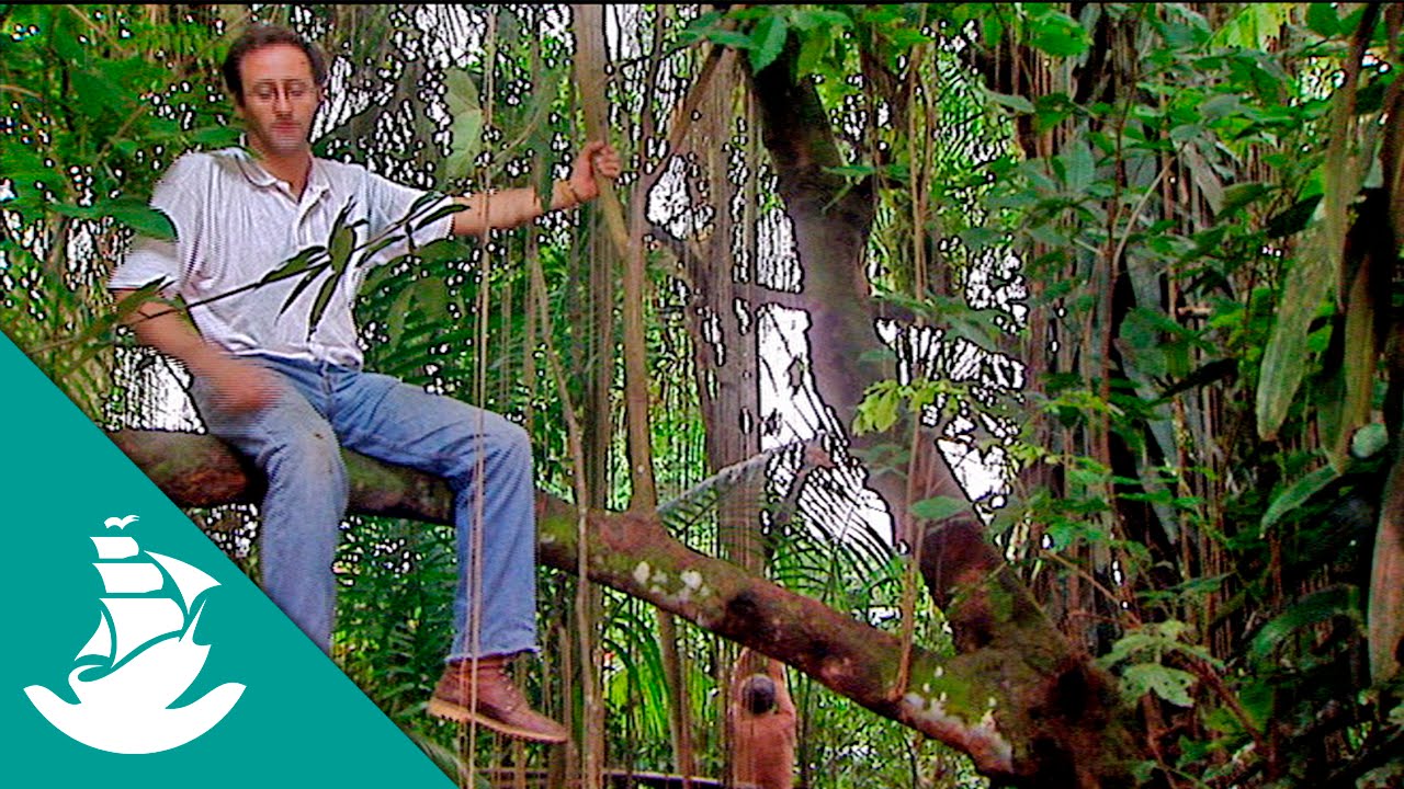 El Futuro del Amazonas (documental completo)