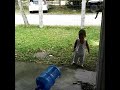 Niuniu 1 Yr Old Niuniu 1 Yr Old