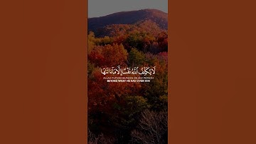 سورة الطلاق | الاية - 7 | #القرآن_الكريم #المصحف #علي_الحذيفي