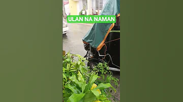 OH LAKAS NG ULAN 