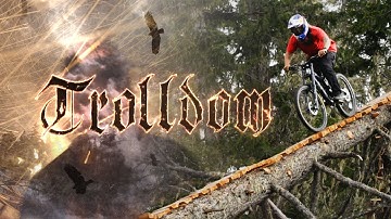 Brage Vestavik | TROLLDOM