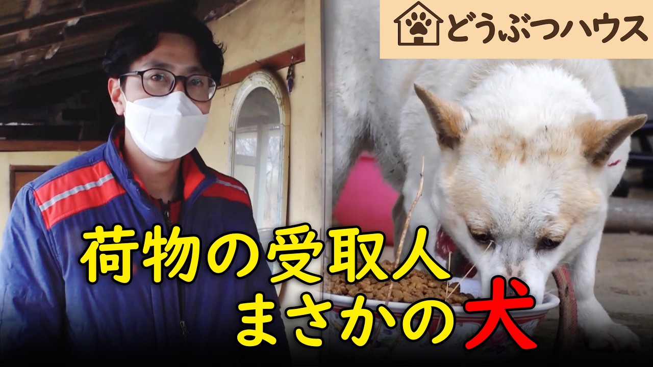 飼い主が亡くなっても、毎月届くドッグフード　配達員が語った真実に涙する
