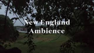 New England Springtime Ambience - Relaxing Nature Video - Sleep/ Relax/ Study - 1.5 Hours - HD 4K