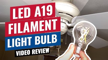 LED A19 Filament Light Bulb Review by Brandi