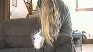 static dog