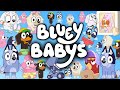 Every bluey baby bluey theorywhat happened to socks  does she have autism