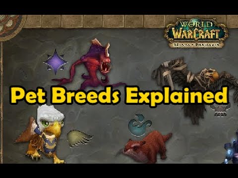 40 HQ Images Wow Pet Battle Chart / The Intermediate World of Warcraft