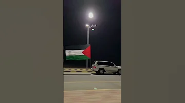 شيلة سكوت العالم المخزي 