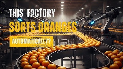 How Oranges Are Sorted & Packed in a High-Tech Factory | Automated Food Processing