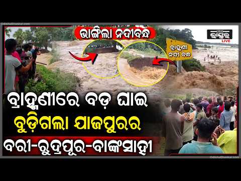 ଭାଙ୍ଗିଲା ବ୍ରାହ୍ମଣୀ ନଦୀବନ୍ଧ, ୧୦୦ ଫୁଟ ବଡ଼ବଡ଼ ୨ଟି ଘାଇ ପାଣି ଭିତରେ ଶହ ଶହ ଲୋକେ The Brahmani river collapsed