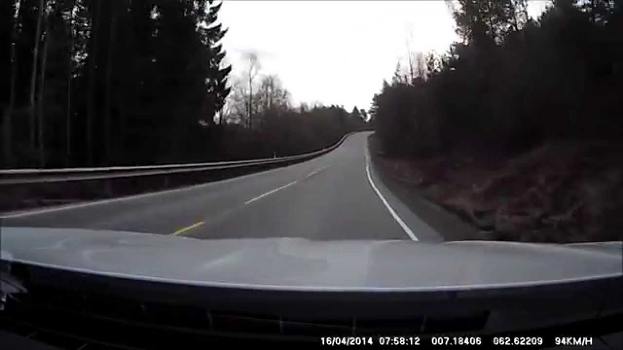 Bmw hits deer on autobahn