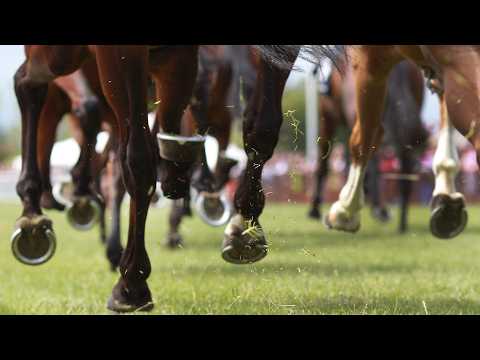 Spring Carnival sparks a ‘rebirth’ for Sydney horse racing