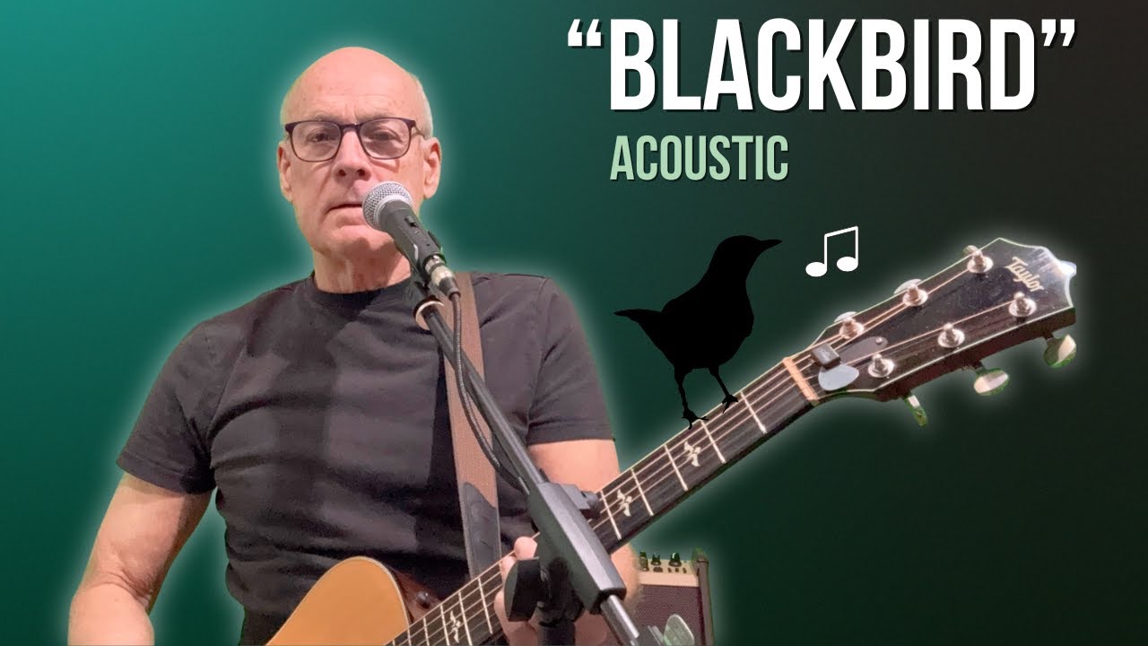 Blackbird - The Beatles (Acoustic Cover)