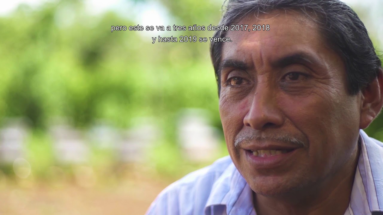 U Lool Che apicultores | Serie Palabras con crédito | hablado maya camera iphone 8 plus apk