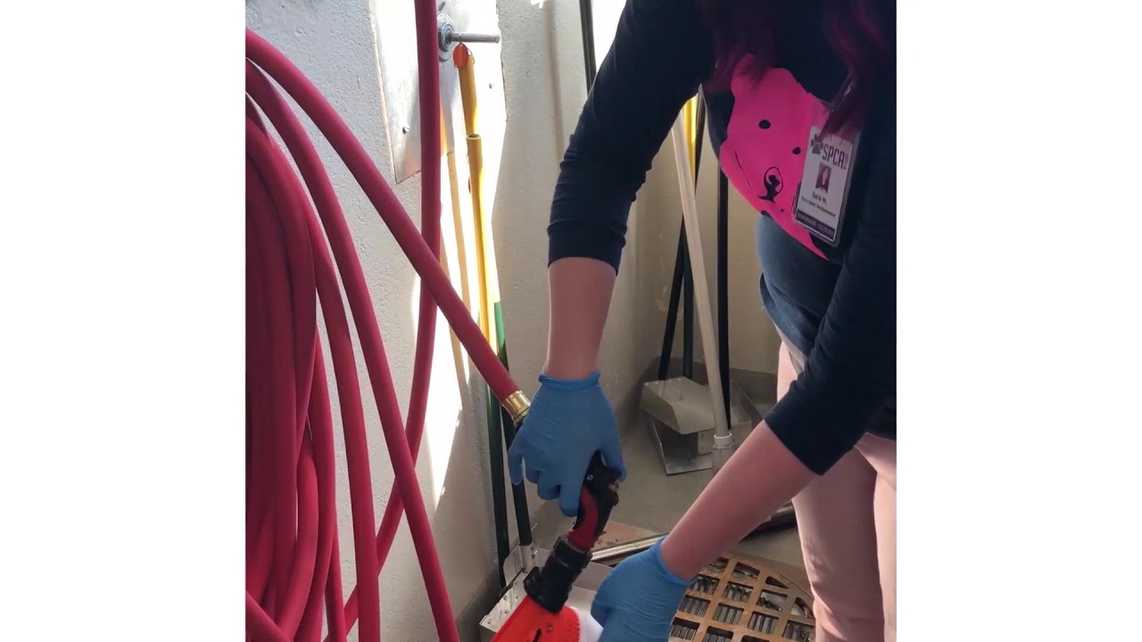 horseshoe bend Sanitizing Dishes