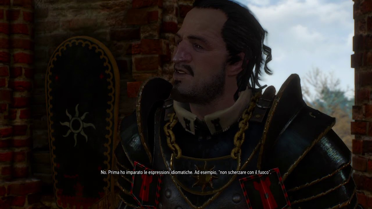 Dona Un Soldo Al Tuo Witcher Inglese