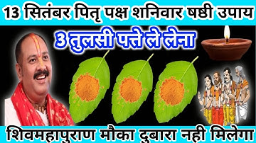 13 सितंबर पितृ पक्ष शनिवार षष्टी को 3 तुलसी पत्ते वाला उपाय जरुर करें। Pandit Pradeep Mishra ।।