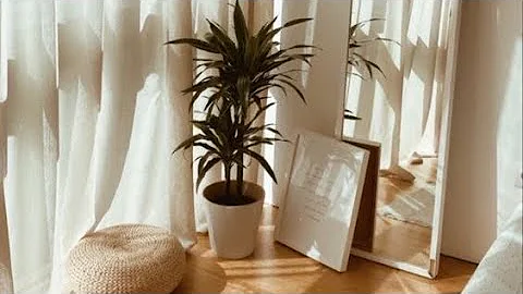 Making my house homey (art exhibition)