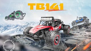2Wd High Speed 20 Kmh All Terrains Electric Remote Control Car Toy Rc Monster Vehicle Truck Crawler