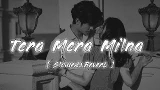 Tera Mera Milna - ✨☺️|| SLOWED+REVERB || - LOFI MUSIC 🎶