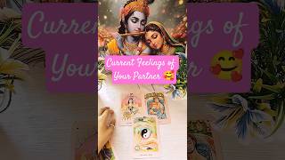 Current Feelings of Your Partner 💗 #tarot #shorts #trending #currentfeelings #lovereading #ytshorts