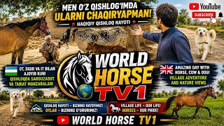 Dalalarda Ot Mingish Sayri 🐎 Uzbek Qishloq Hayotining Sirri 🔥