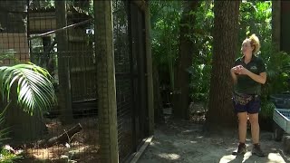 Inside Look At What It Takes To Be A Zookeeper