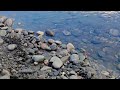 Gandaki river shaligram  finding shaligram shila somewhere near kali gandaki river nepal