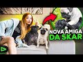 A NOVA AMIGA DA SKAR CHEGOU NA MANSÃO LOUD!!