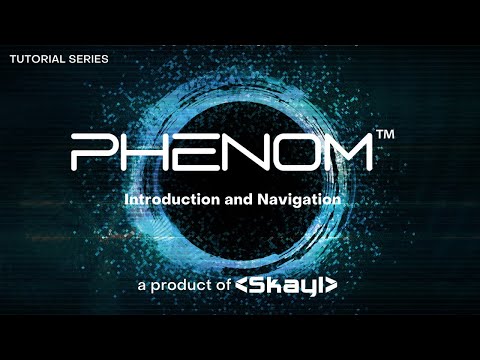 PHENOM Tutorial #1: Introduction & Navigation