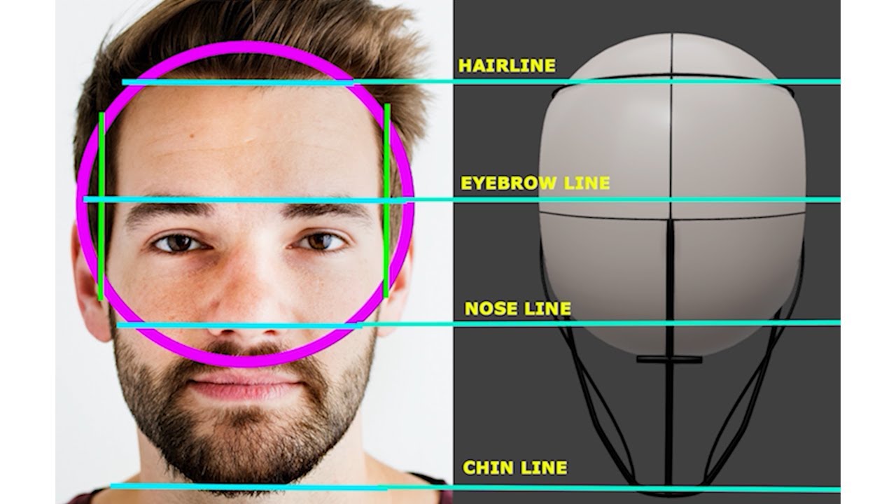 Understanding the Loomis Method — How the Head Proportions Work