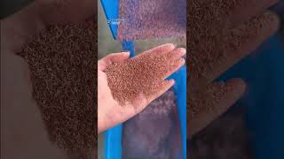600-800kg/h cable granulator machine with 1200 electrostatic separator