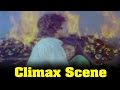 Pandi nattu thangam movie climax scene