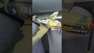 P-40 Warhawk RC Plane