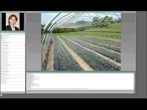 Видео: Strawberry 'Northeaster' Информация: узнайте о выращивании клубники Northeaster